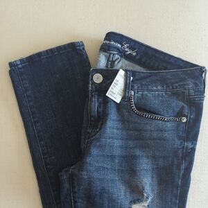 American Eagle Outfitters Blue Skinny Jeans